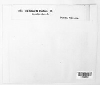 Image Associated With the Occurence